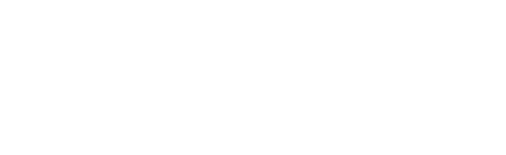 Chic-Auto